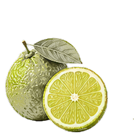 Bergamot note