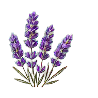 Lavender note