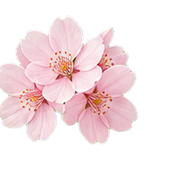 Sakura note